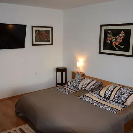 Ribnikar Apartmán