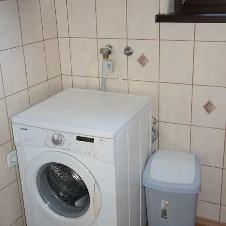 Ribnikar Apartmán *