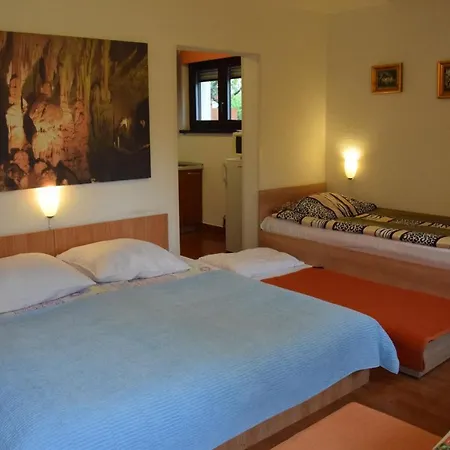 Apartmán Ribnikar Postojna